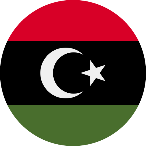 Call Prices to Libya